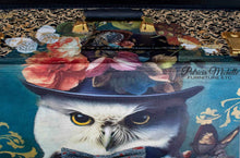 Load image into Gallery viewer, Owl Decorative Suitcase SOLD
